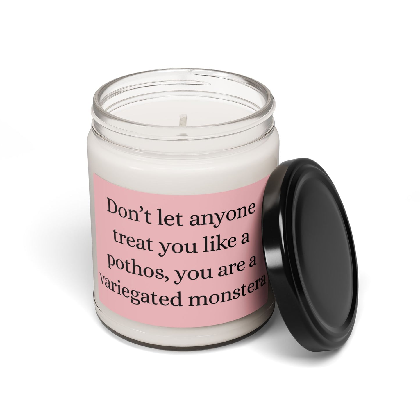 ✨ Variegated Monstera Affirmation Candle ✨