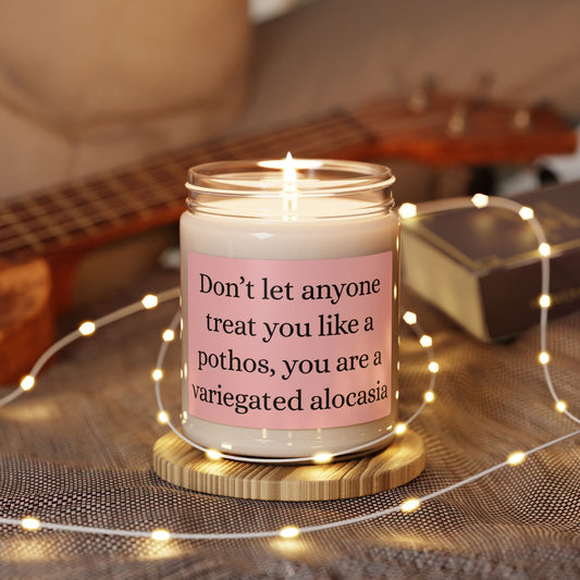 ✨ Variegated Alocasia Affirmation Candle ✨