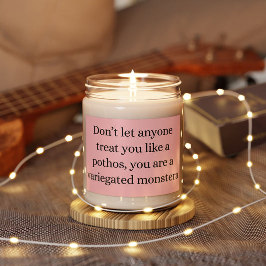 ✨ Variegated Monstera Affirmation Candle ✨