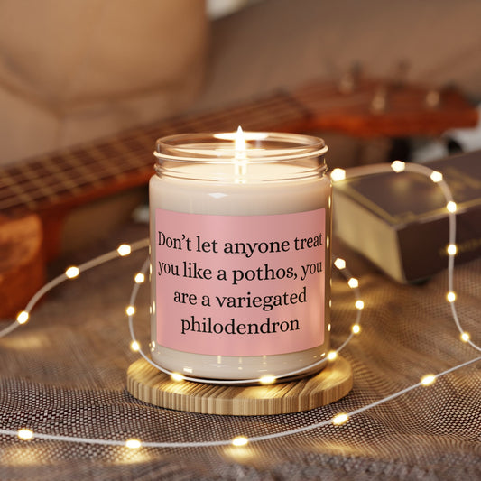 ✨ Variegated Philodendron Affirmation Candle ✨